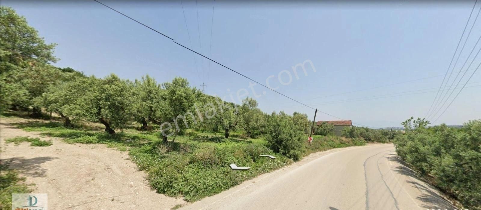 Mudanya Yörükali Köyü Bitişiği 2.700 M2 Asfalta Cephe Kısmen İmarlı Satılık Arazi. - Görsel 30