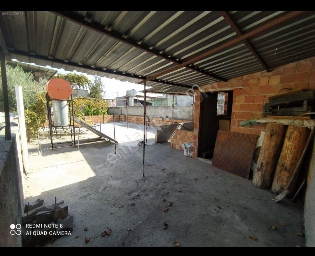 Yeni Boyalı - Görsel 6