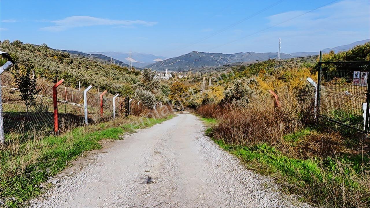 Gemlik Kurtul Mahallesinde Huzurlu Hobi Bahçesi - Görsel 14