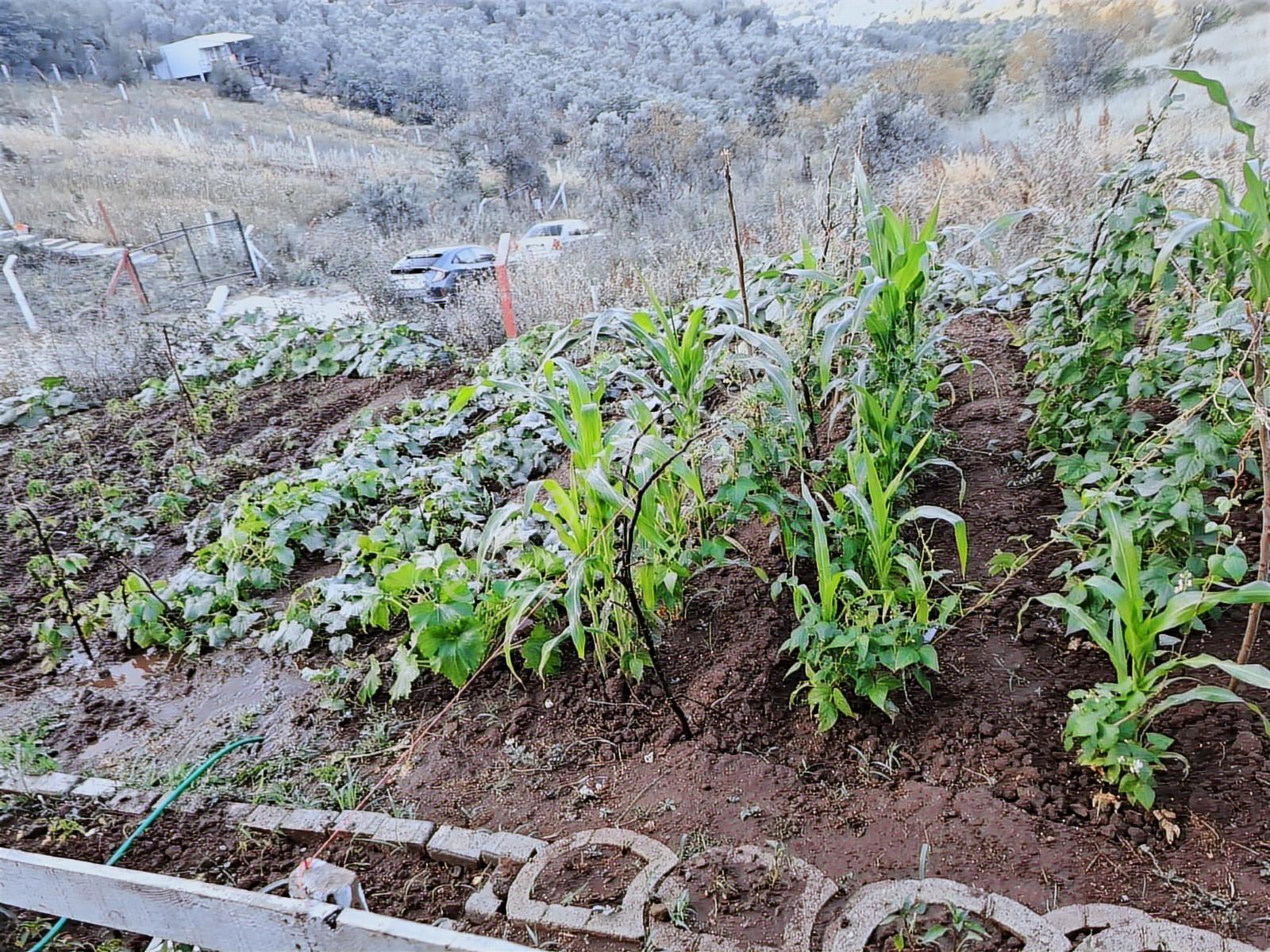 Gemlik Kurtul Mahallesinde Huzurlu Hobi Bahçesi - Görsel 11