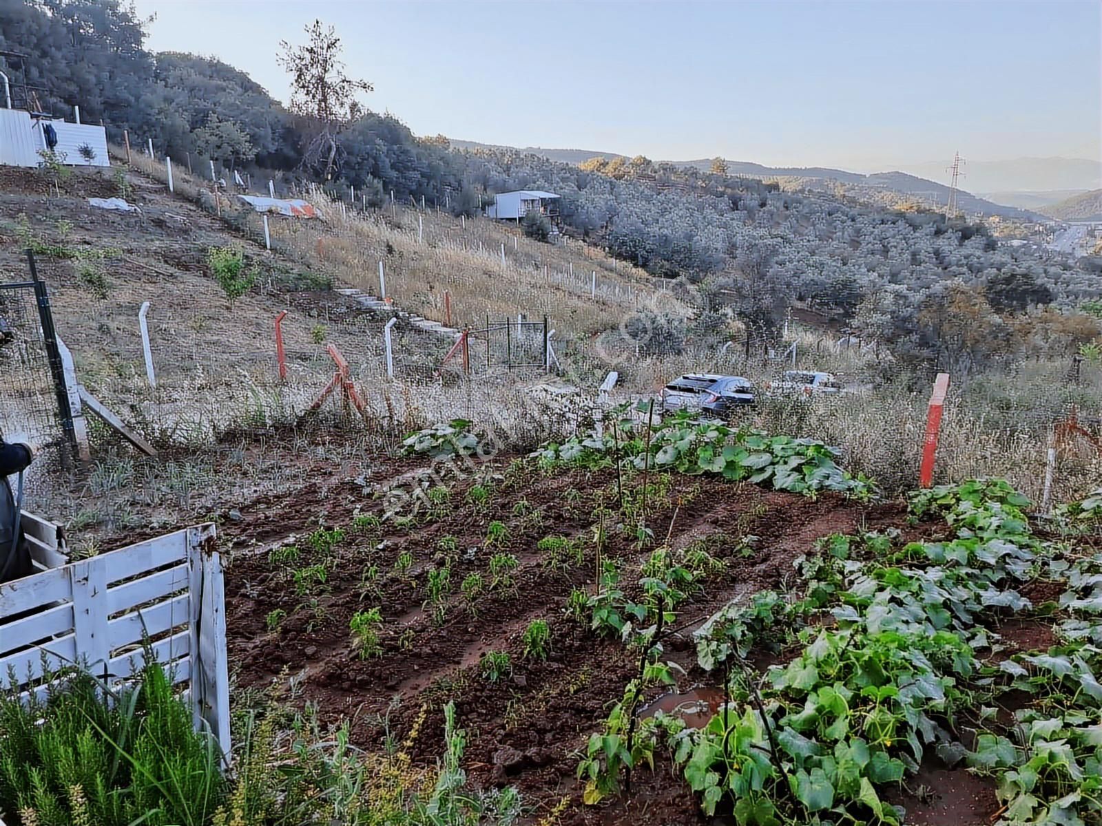 Gemlik Kurtul Mahallesinde Huzurlu Hobi Bahçesi - Görsel 25