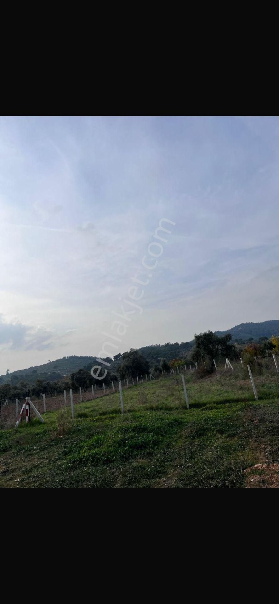Torbalı Ormanköy 600 Mk Miras Hisse Tapudan Satış Yol Kenarı - Görsel 3