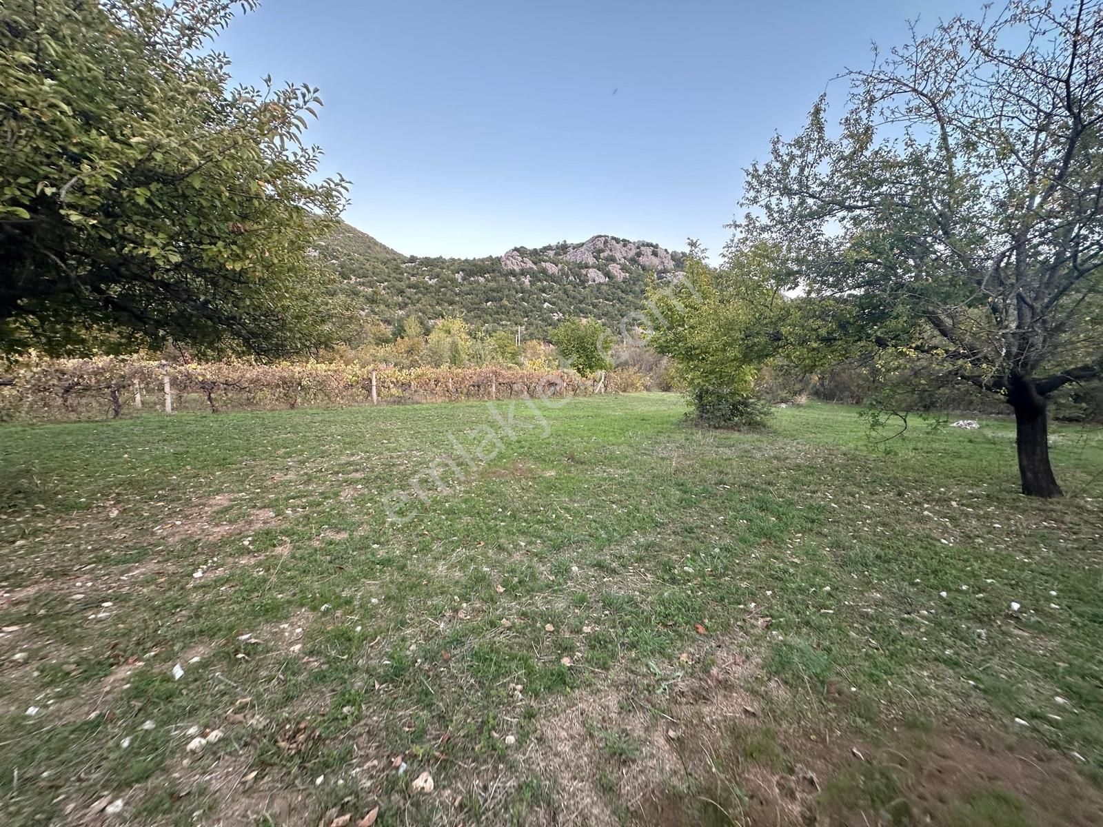 Antalya İbradı Yukarı Mahalle Satılık Tek Tapu Tarla - Görsel 18