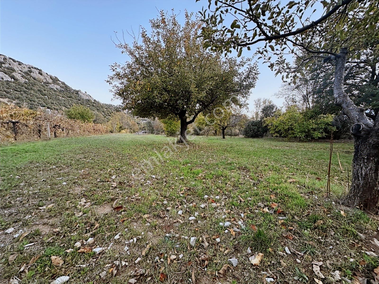 Antalya İbradı Yukarı Mahalle Satılık Tek Tapu Tarla - Görsel 10