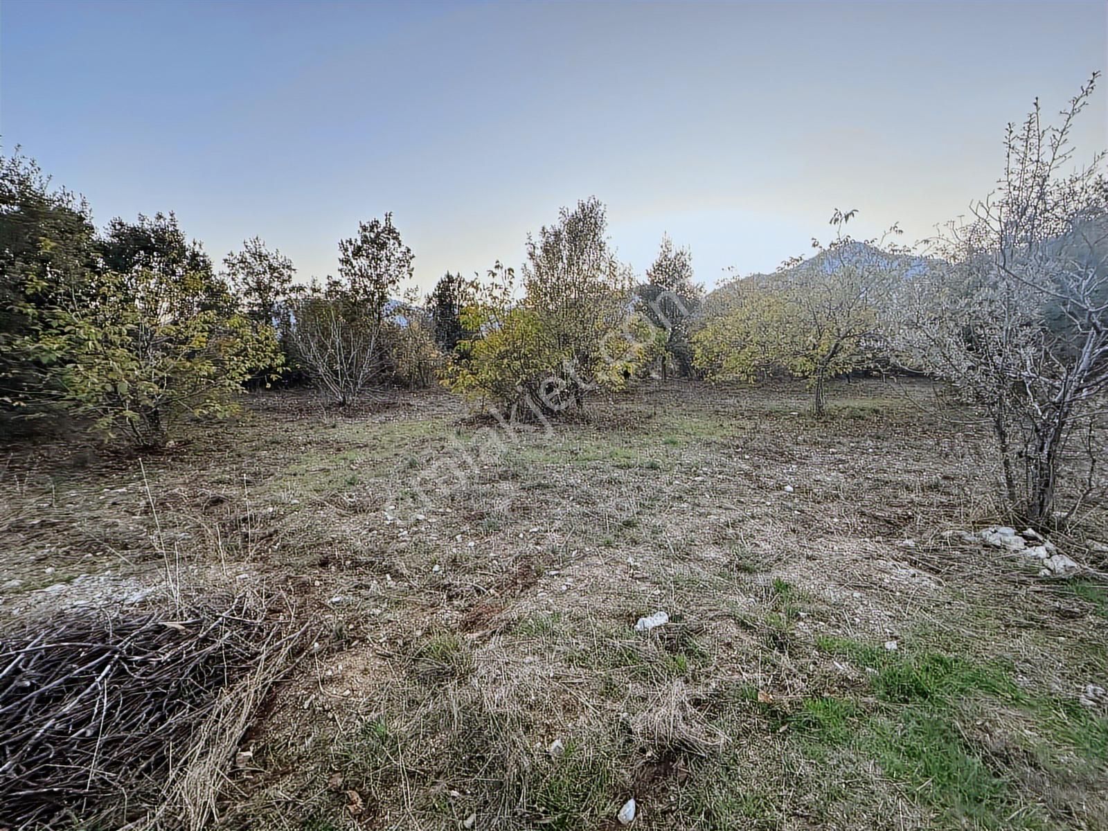 Antalya İbradı Yukarı Mahalle Satılık Tek Tapu Tarla - Görsel 26