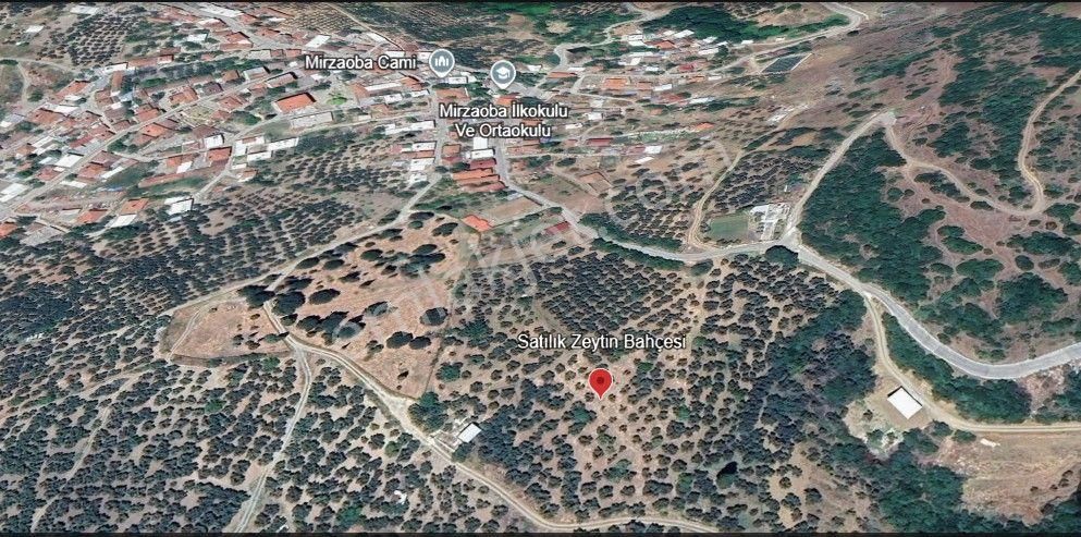 Rt Safir'den Mirzaoba'da Uygun Fiyatlı Satılık Zeytin Bahçesi - Görsel 9