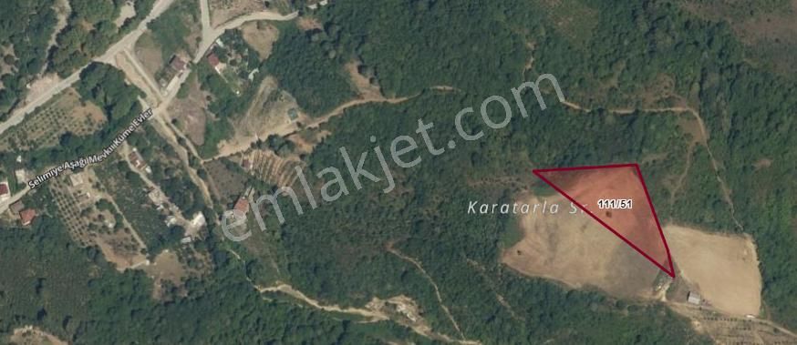 Selimiye Köy Üstü Mevkii | 5.895 M² Yatırımlık Değerli Arazi