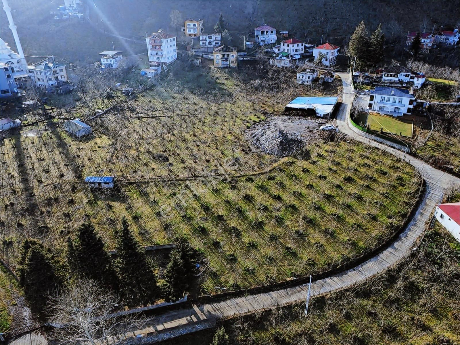 Trabzonda Deniz Manzaralı Projeli Arazi - Görsel 7