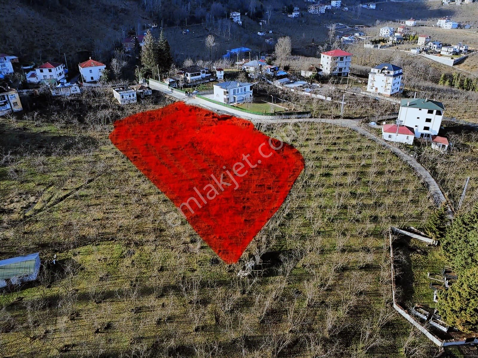 Trabzonda Deniz Manzaralı Projeli Arazi - Görsel 2