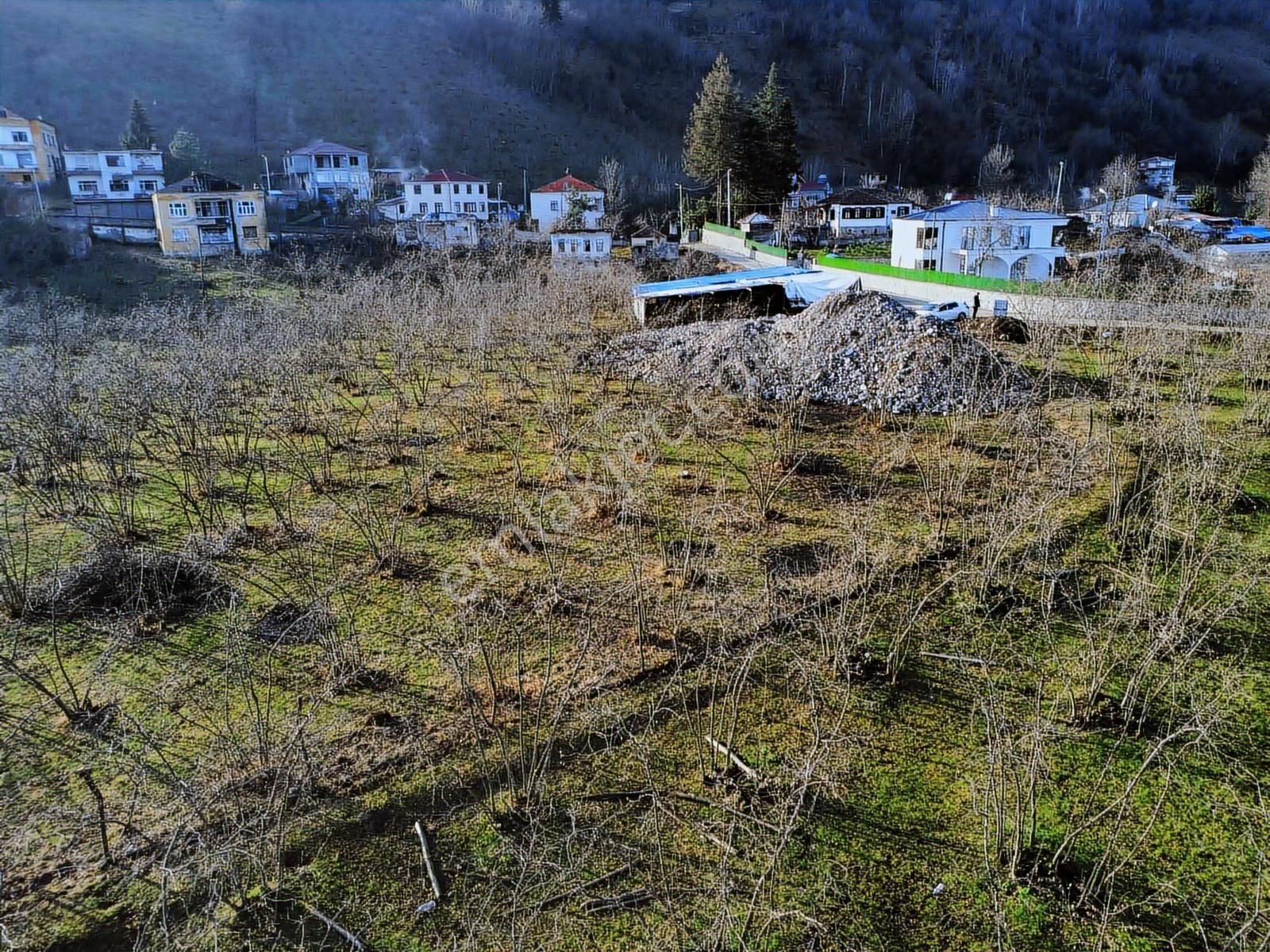 Trabzon Akolukta Fırsat Deniz Manzaralı Düz Araziler - Görsel 19
