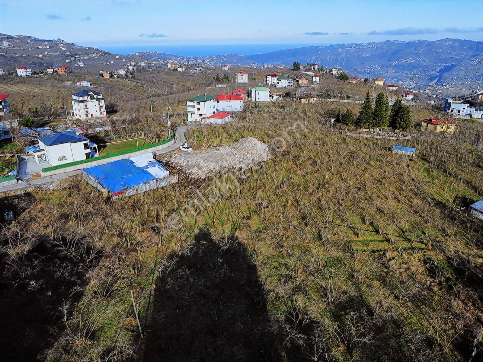 Trabzon Akolukta Fırsat Deniz Manzaralı Düz Araziler - Görsel 5