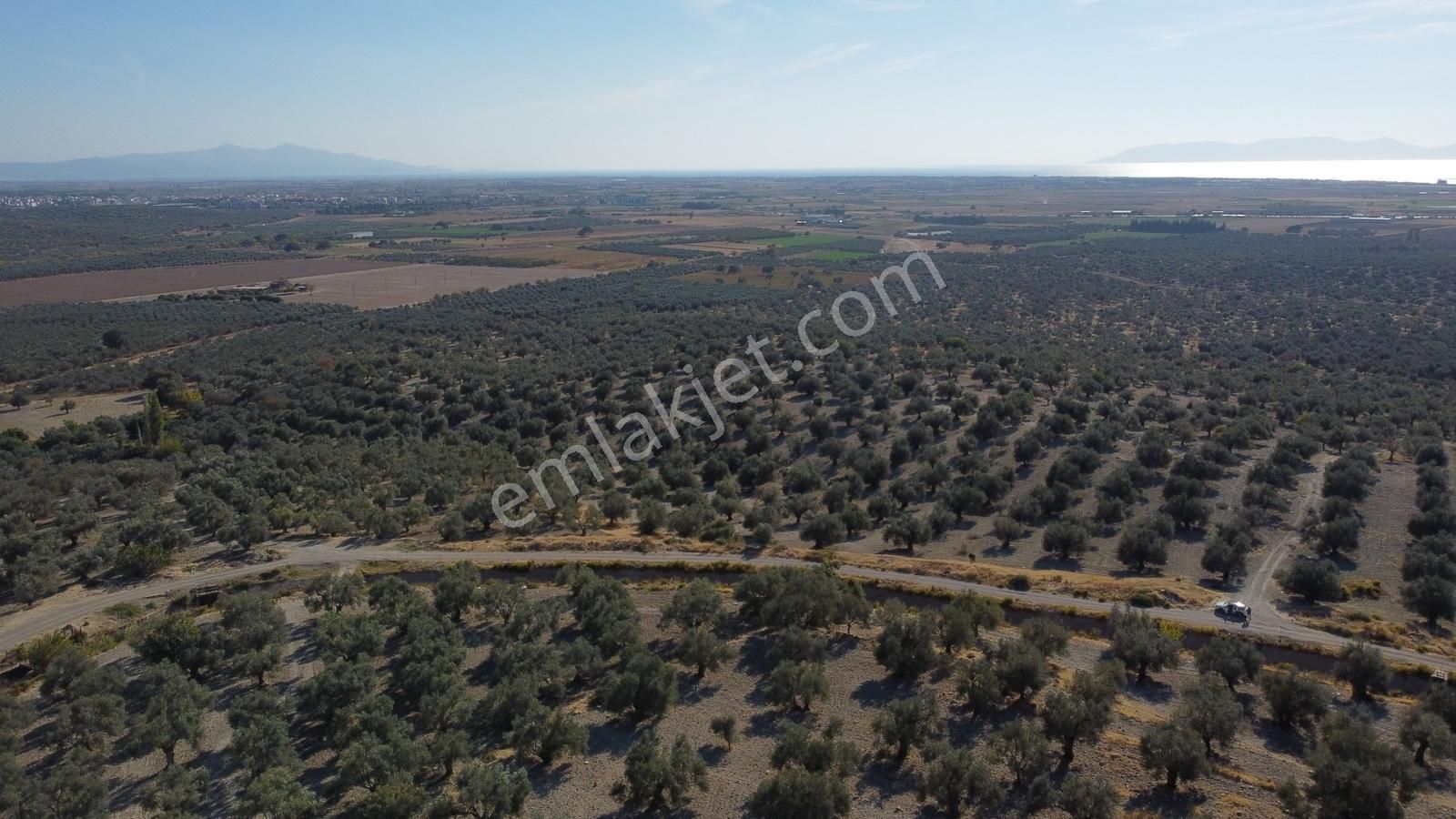 Deniz Manzaralı Ulaşımı Rahat Küçük Parça Satılık Zeytinlik. - Görsel 17