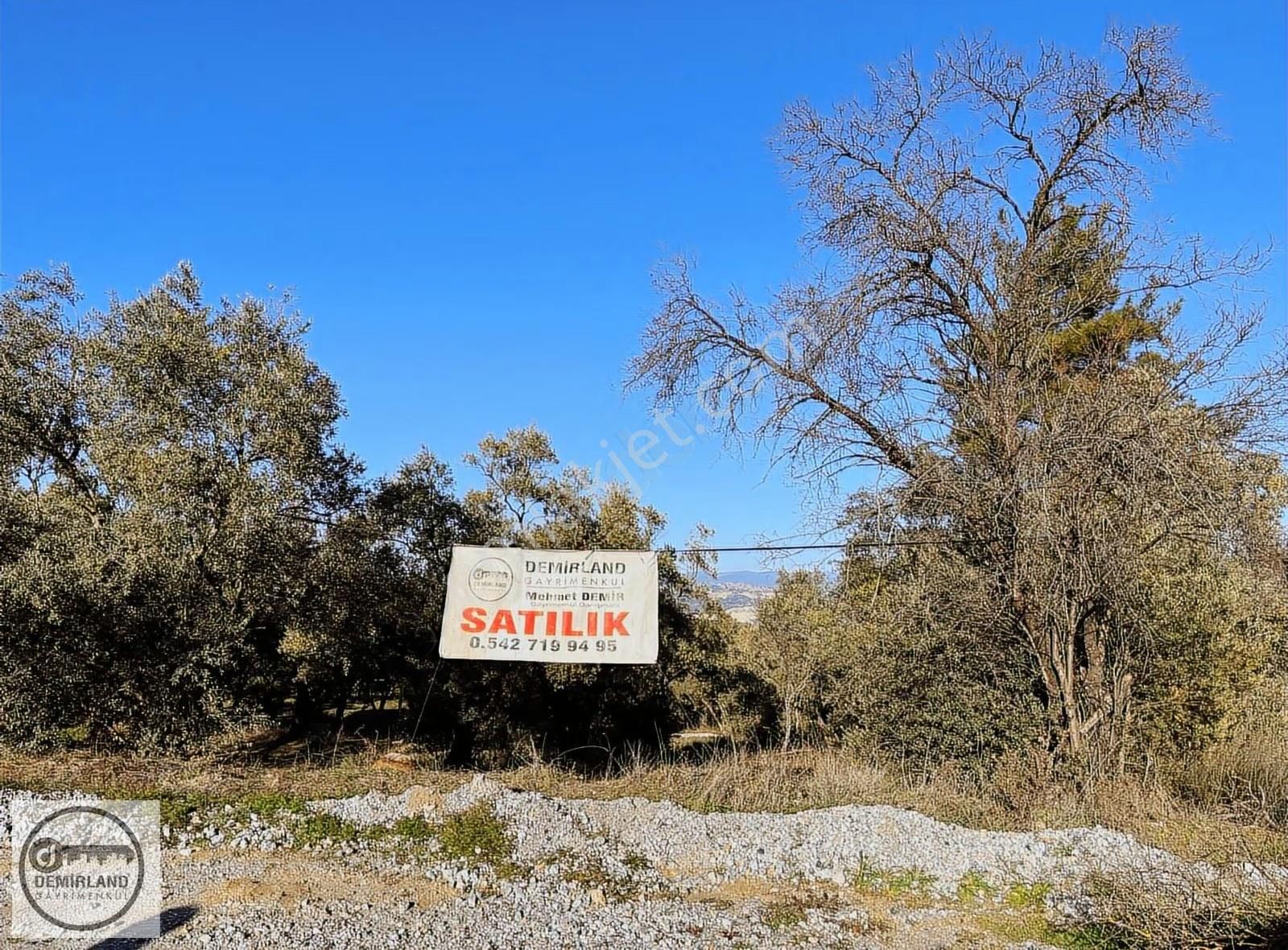 Demirland'dan Satılık Yatağan'da Kara Yoluna Sıfır Zeytinlik - Görsel 22