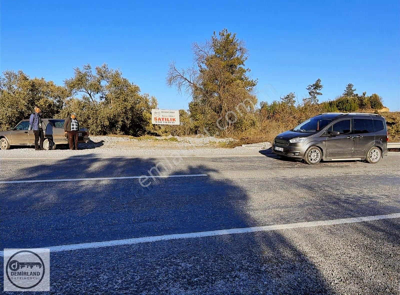 Demirland'dan Satılık Yatağan'da Kara Yoluna Sıfır Zeytinlik