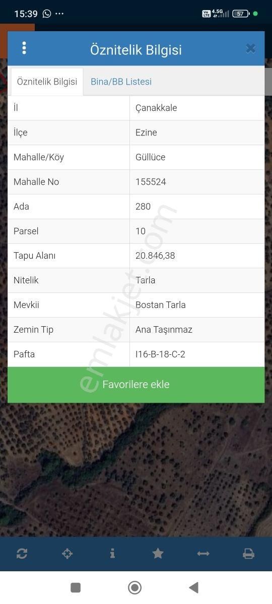 Ezine Güllüce Köyünde 20,846m² Uygun Fiyatlı Zeytinlik - Görsel 3