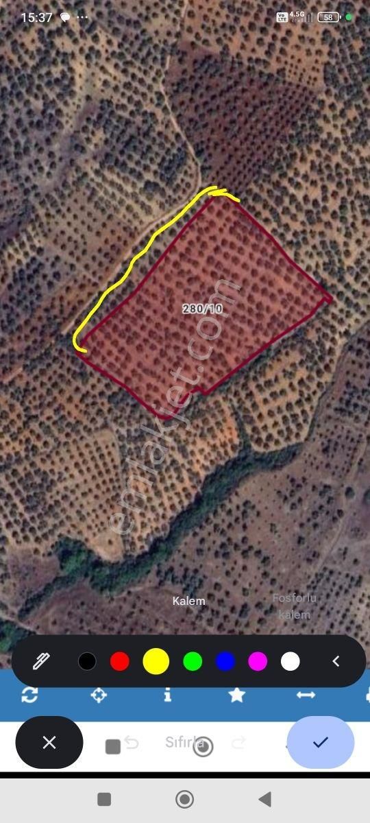 Ezine Güllüce Köyünde 20,846m² Uygun Fiyatlı Zeytinlik - Görsel 2