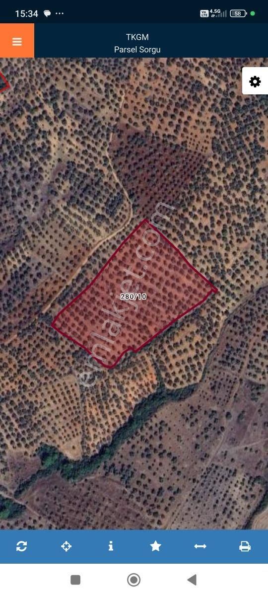 Ezine Güllüce Köyünde 20,846m² Uygun Fiyatlı Zeytinlik