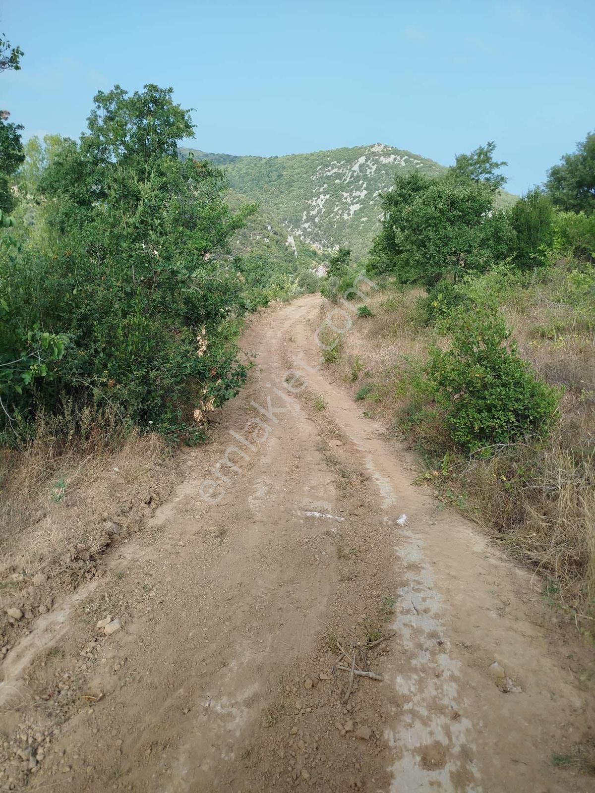 Bursa Nilüfer Ayva Köyde Tarla - Görsel 18