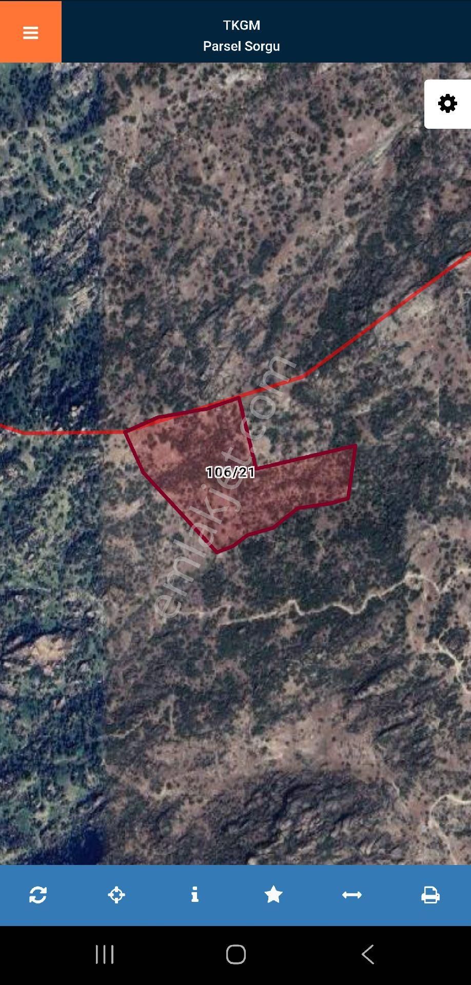 Aydın Söke Köprüalan'da 42.493 M2 Uygun Yatırımlık Zeytinlik. Açıklamayı Okuyunuz. - Görsel 3