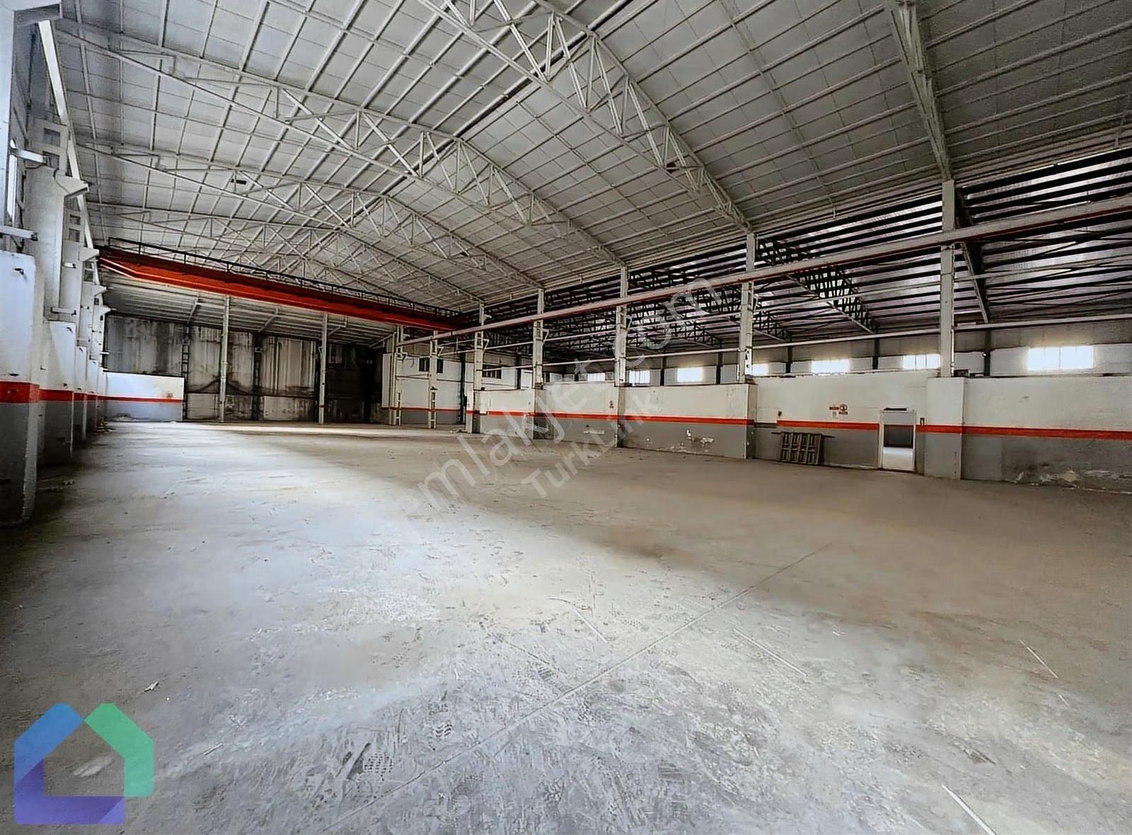 Beylikdüzü Osb Sanayi Bölgesi 4750 M2 Tek Kat H:10m Fabrika&depo - Görsel 3