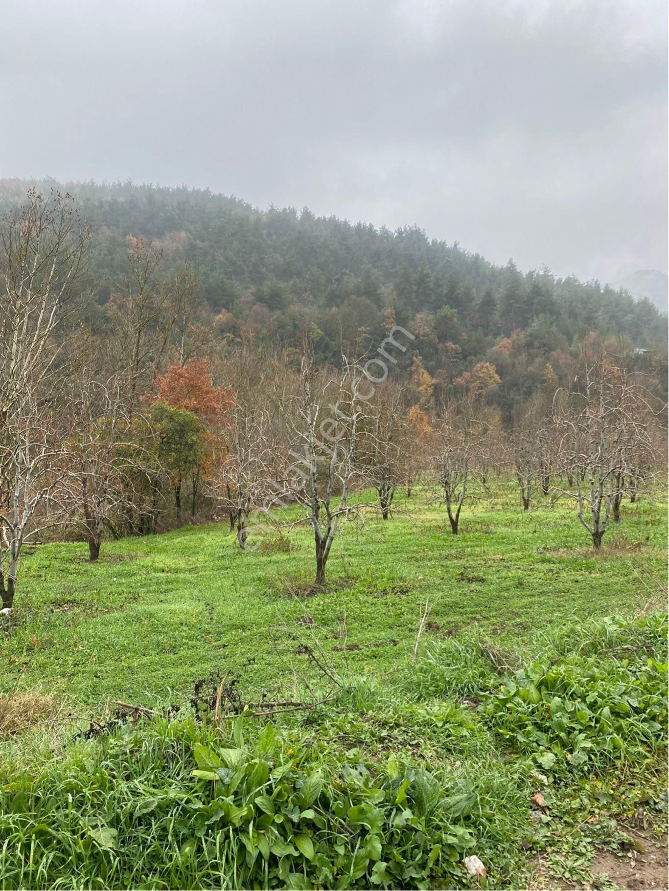 Avdancık-seçköy 250 M2 Asfalta Cephe - Görsel 15