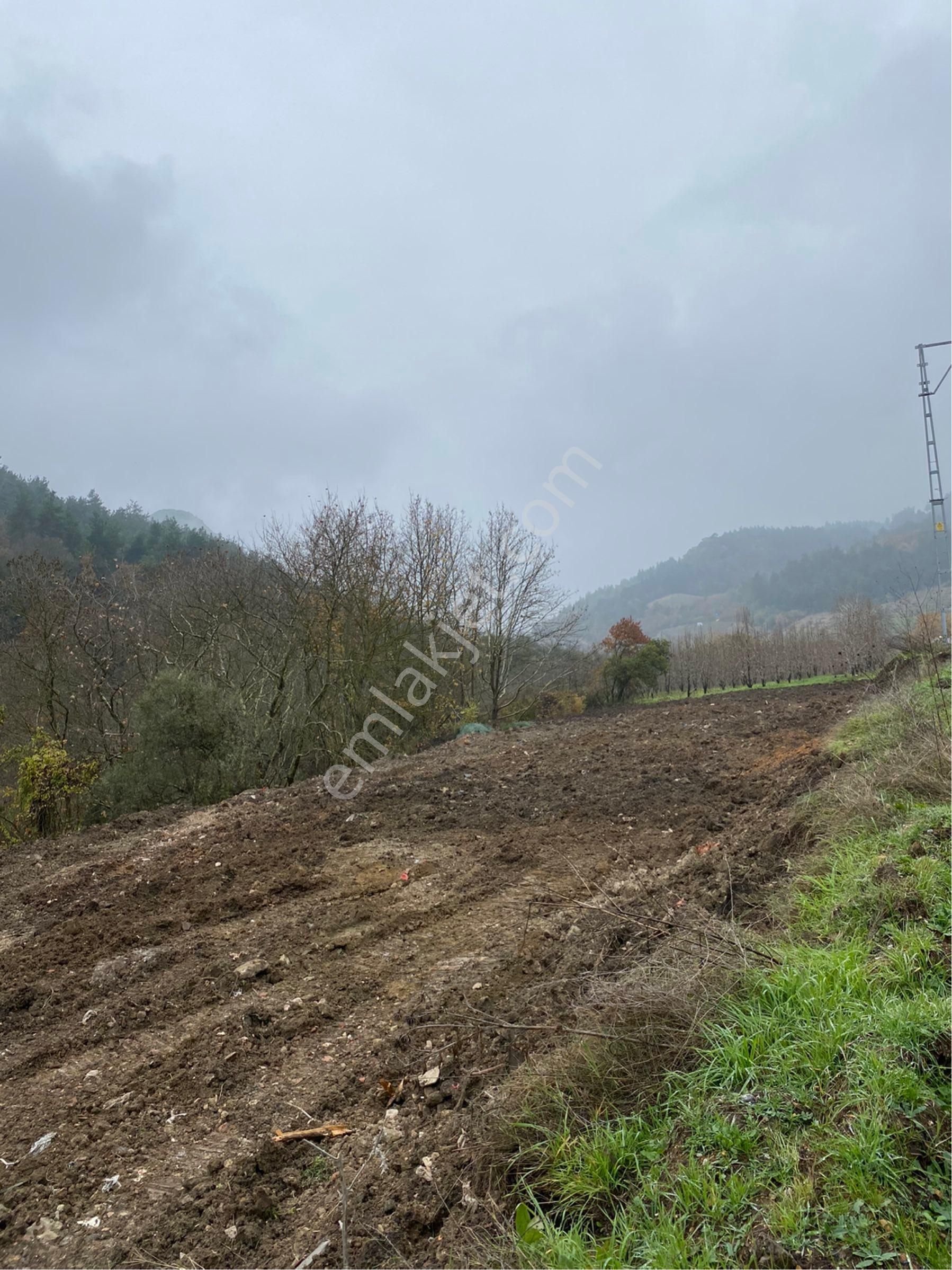 Avdancık-seçköy 250 M2 Asfalta Cephe - Görsel 13