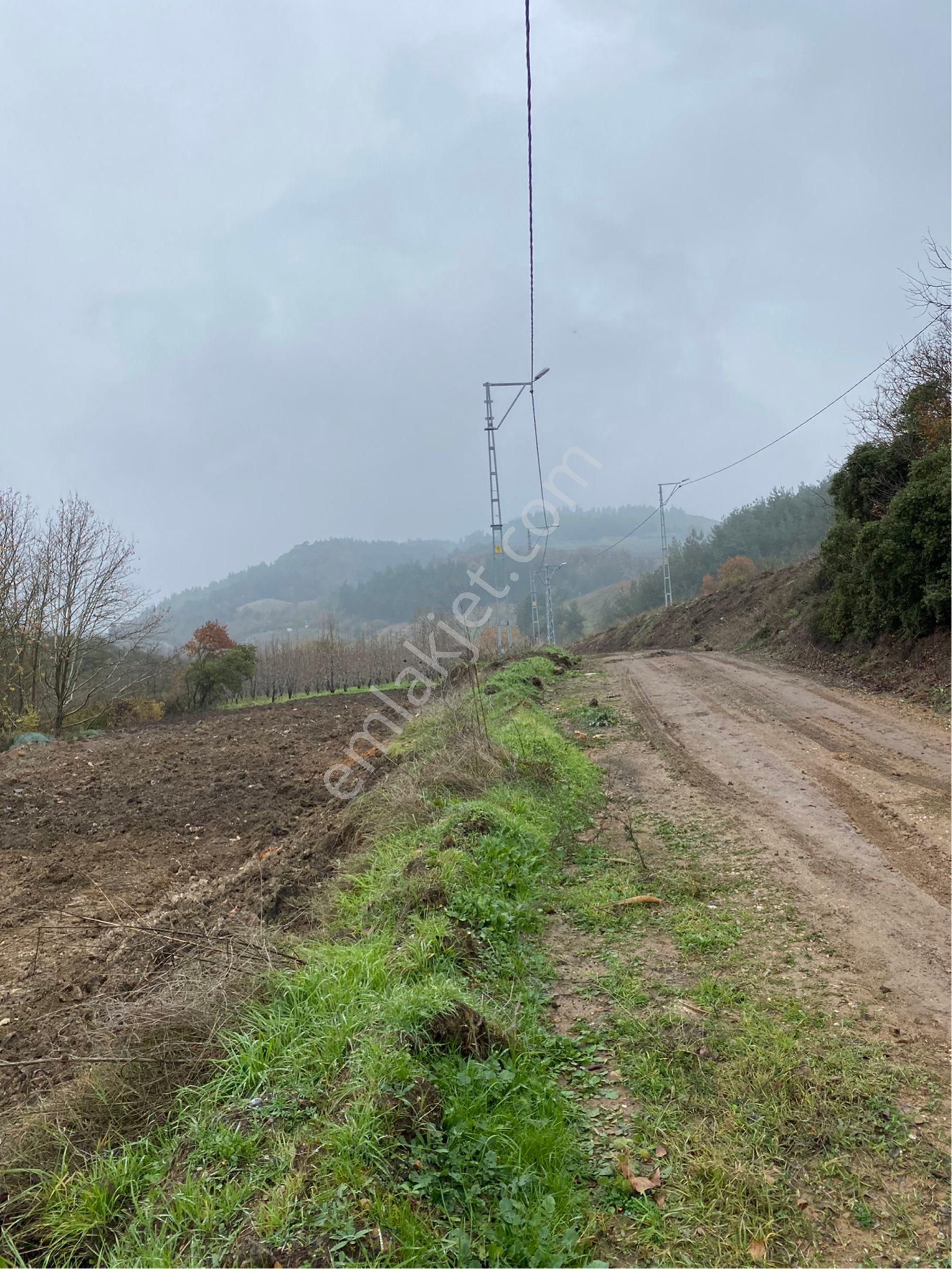 Avdancık-seçköy 250 M2 Asfalta Cephe - Görsel 14