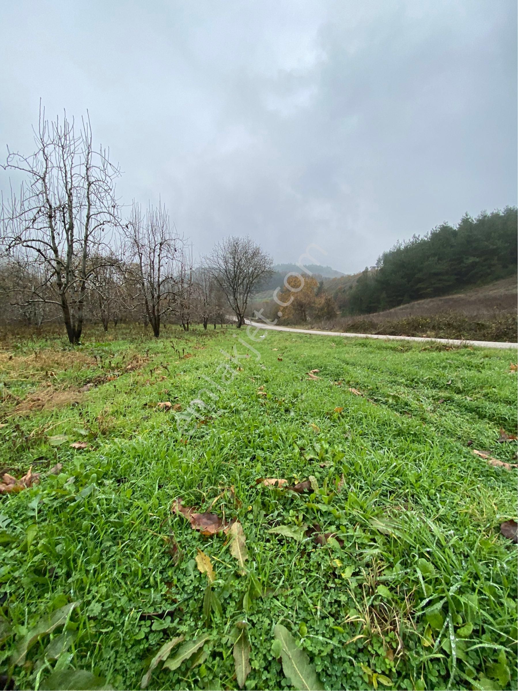 Avdancık-seçköy 250 M2 Asfalta Cephe - Görsel 6