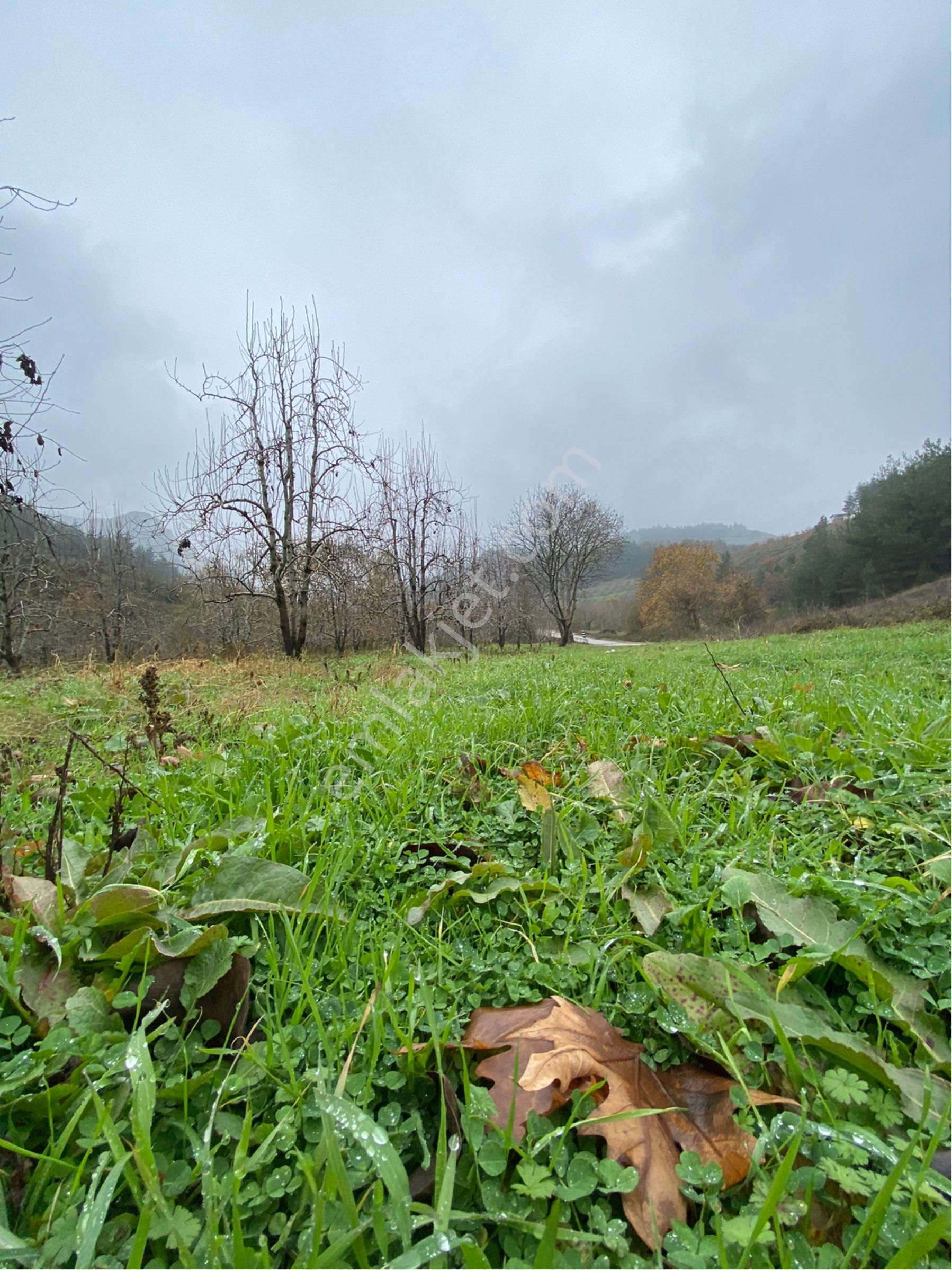 Avdancık-seçköy 250 M2 Asfalta Cephe - Görsel 7