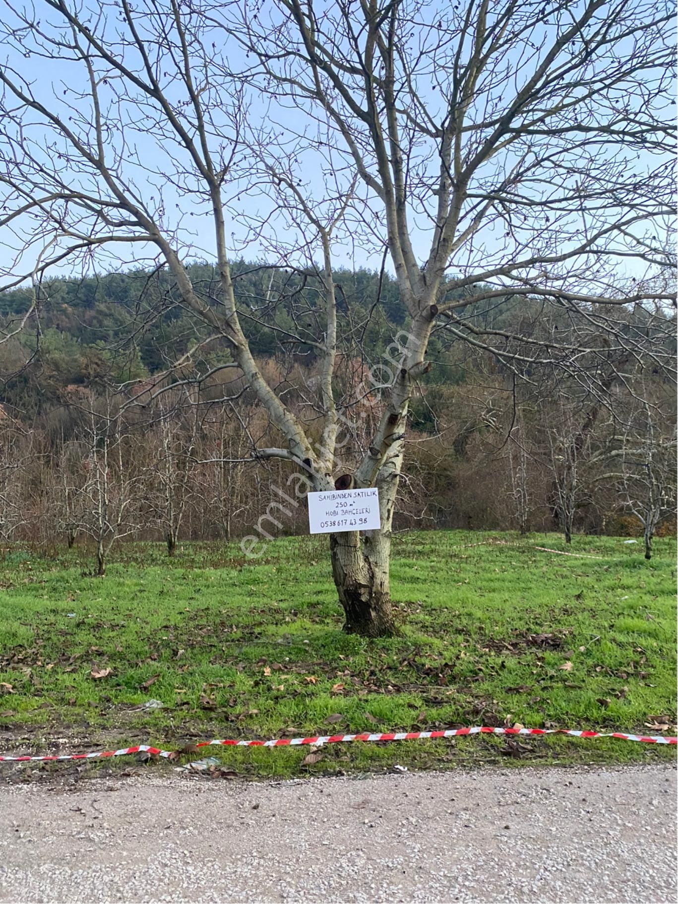 Avdancık-seçköy 250 M2 Asfalta Cephe - Görsel 4