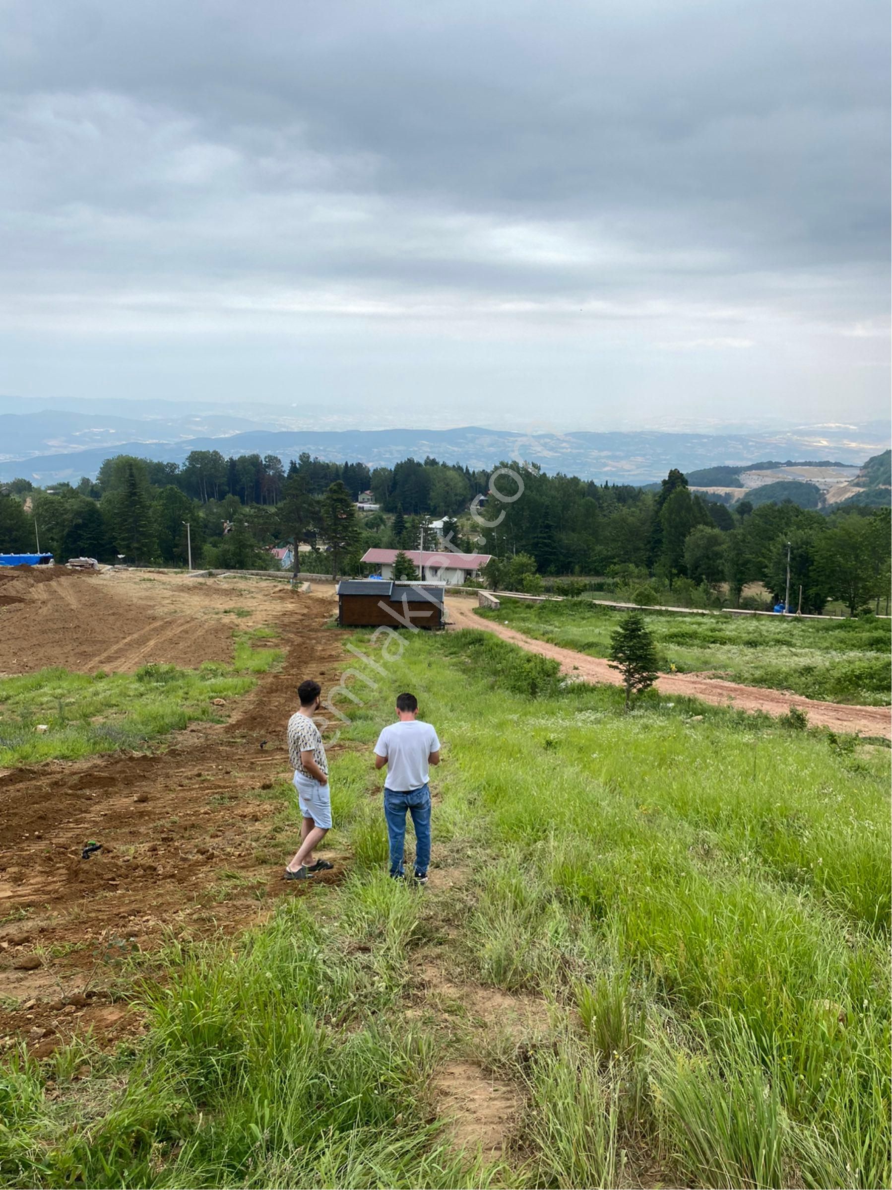 Alaçam 200m2 Kooperatif Hisse