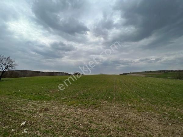 Karataş'tan Dereye Cephe 5517m2 Merkeze Yakın Kupon Arazi - Görsel 25