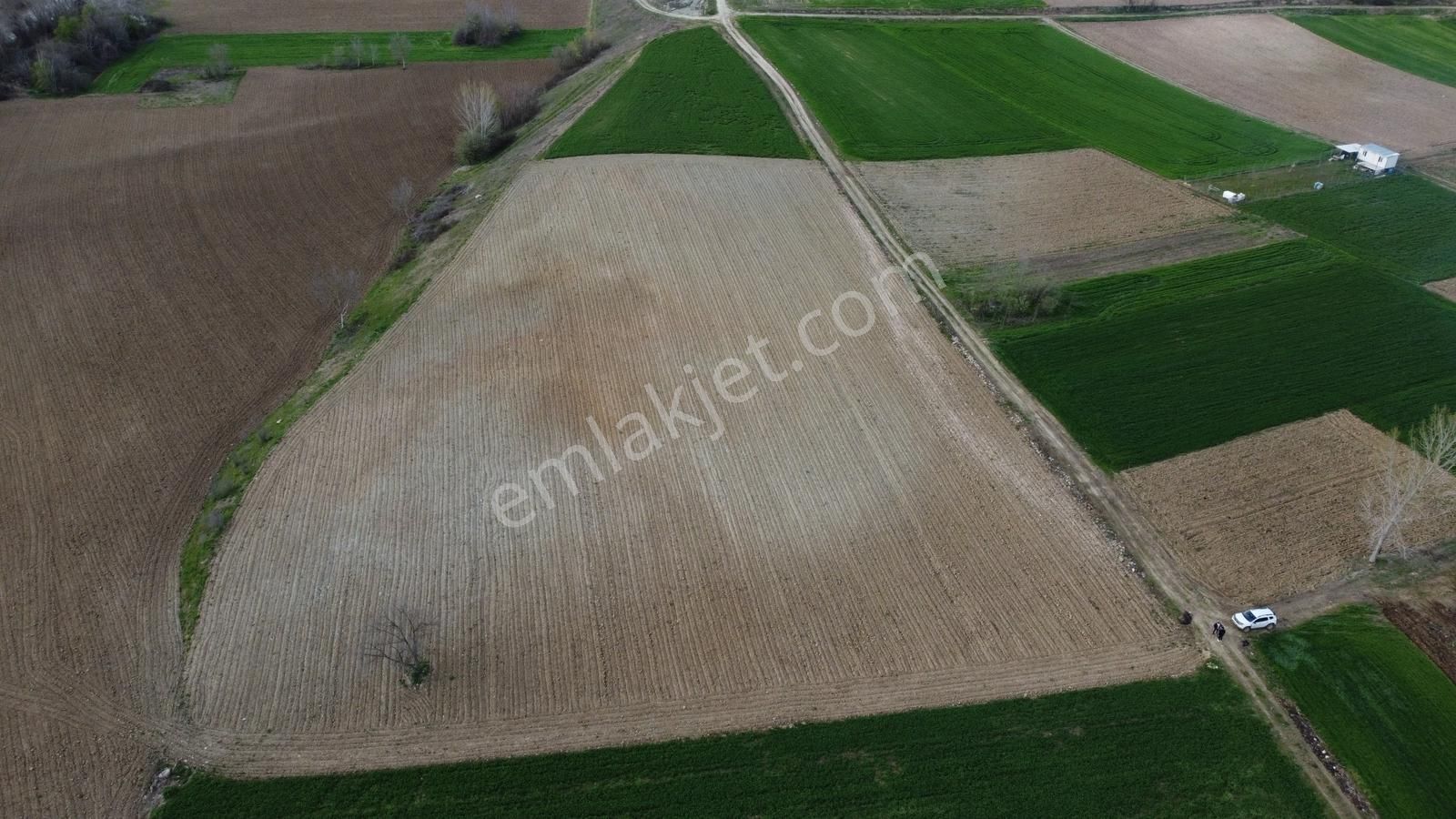 Karataş'tan Dereye Cephe 5517m2 Merkeze Yakın Kupon Arazi - Görsel 22