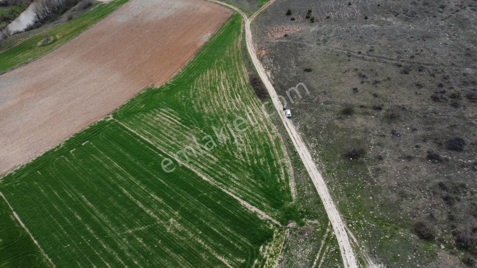 Karataş'tan Villalık Merkeze Ve Köye Yakın 5382 M2 Kupon Tarla - Görsel 35