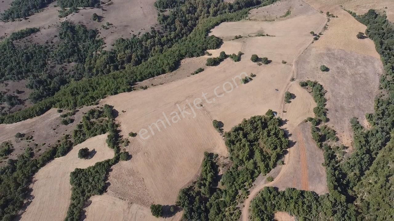 Karataş'tan 54.000 M2 Yolu Olan Kaçırılmayacak Fırsat Arazi - Görsel 30