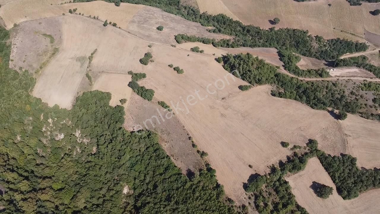 Karataş'tan 54.000 M2 Yolu Olan Kaçırılmayacak Fırsat Arazi - Görsel 3