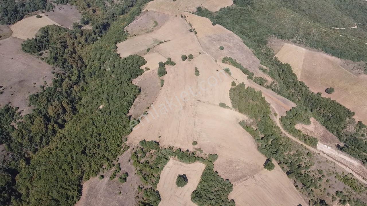 Karataş'tan 54.000 M2 Yolu Olan Kaçırılmayacak Fırsat Arazi - Görsel 15