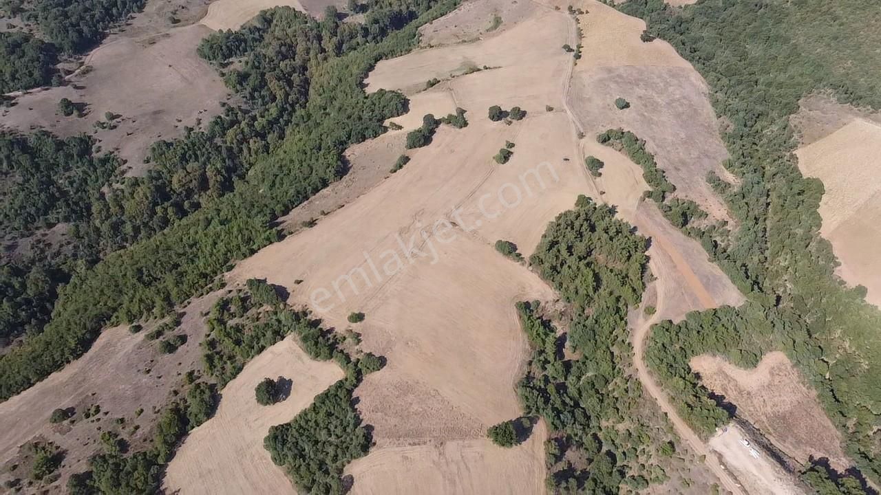 Karataş'tan 54.000 M2 Yolu Olan Kaçırılmayacak Fırsat Arazi - Görsel 23