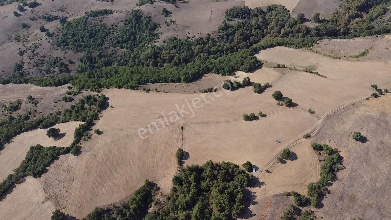 Karataş'tan 54.000 M2 Yolu Olan Kaçırılmayacak Fırsat Arazi - Görsel 11