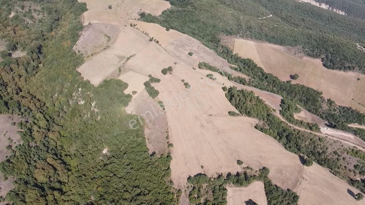 Karataş'tan 54.000 M2 Yolu Olan Kaçırılmayacak Fırsat Arazi - Görsel 10