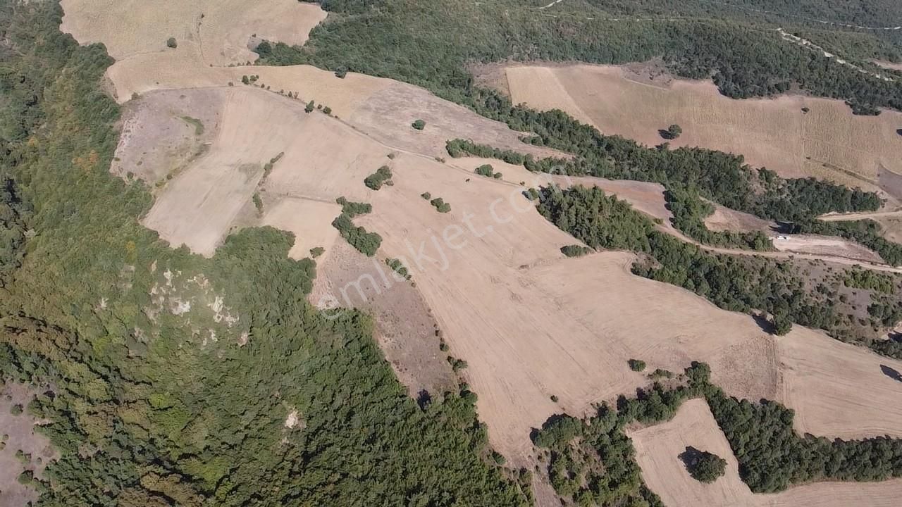 Karataş'tan 54.000 M2 Yolu Olan Kaçırılmayacak Fırsat Arazi - Görsel 9