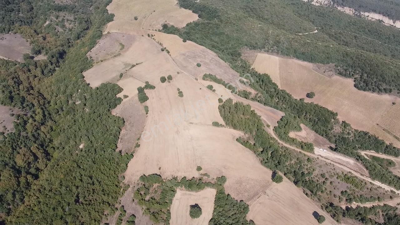 Karataş'tan 54.000 M2 Yolu Olan Kaçırılmayacak Fırsat Arazi - Görsel 29