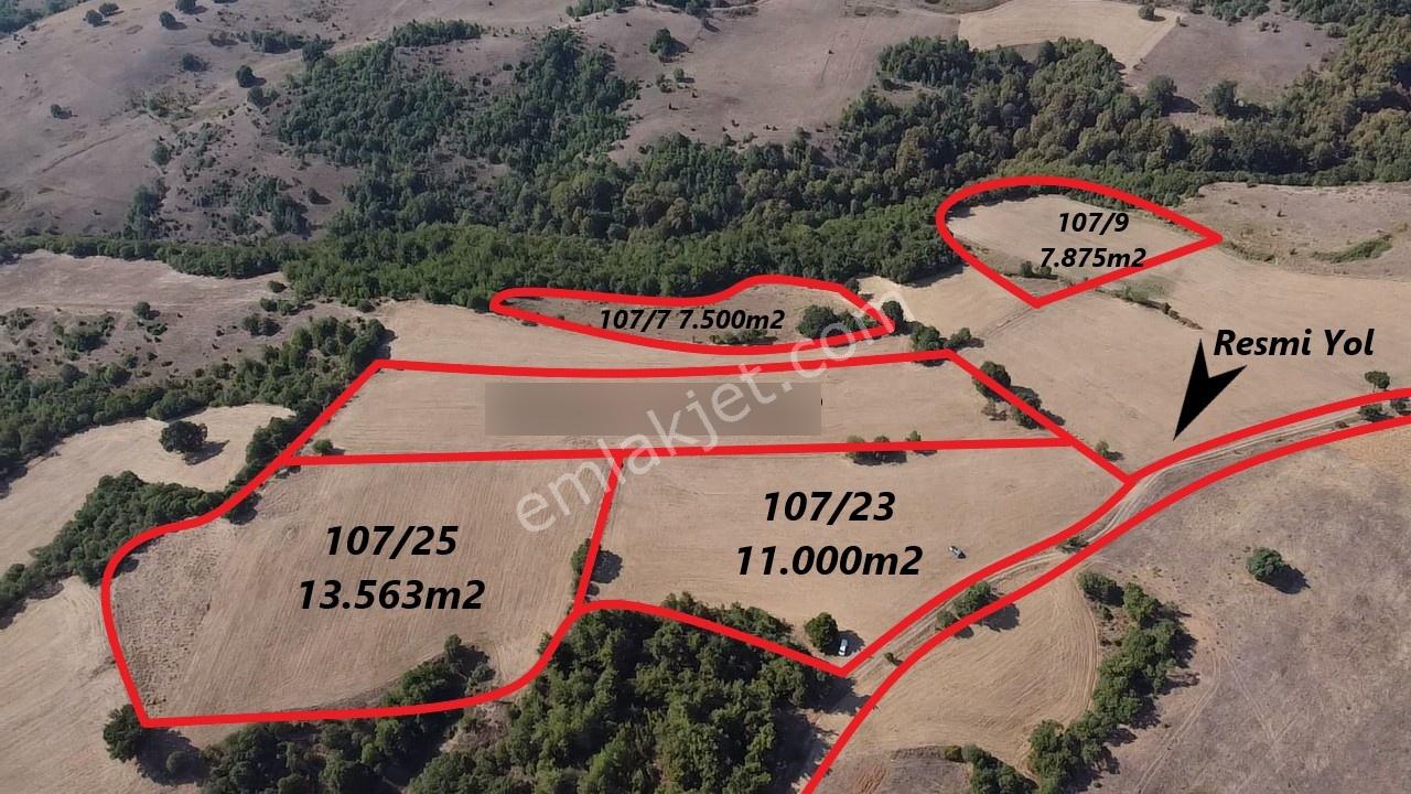 Karataş'tan 54.000 M2 Yolu Olan Kaçırılmayacak Fırsat Arazi - Görsel 2