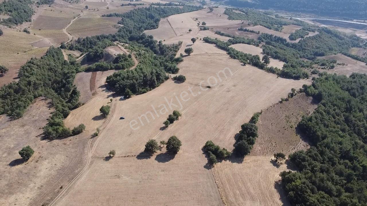 Karataş'tan 54.000 M2 Yolu Olan Kaçırılmayacak Fırsat Arazi - Görsel 13