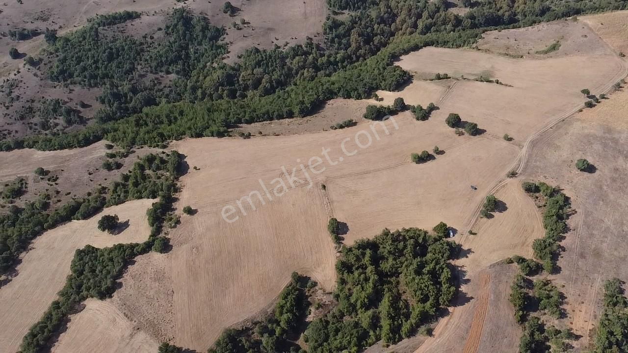 Karataş'tan 54.000 M2 Yolu Olan Kaçırılmayacak Fırsat Arazi - Görsel 25