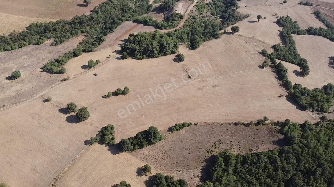 Karataş'tan 54.000 M2 Yolu Olan Kaçırılmayacak Fırsat Arazi - Görsel 12