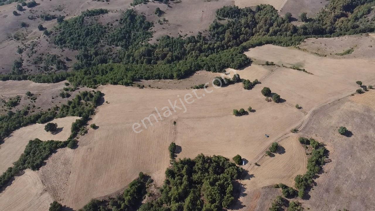 Karataş'tan 54.000 M2 Yolu Olan Kaçırılmayacak Fırsat Arazi - Görsel 31