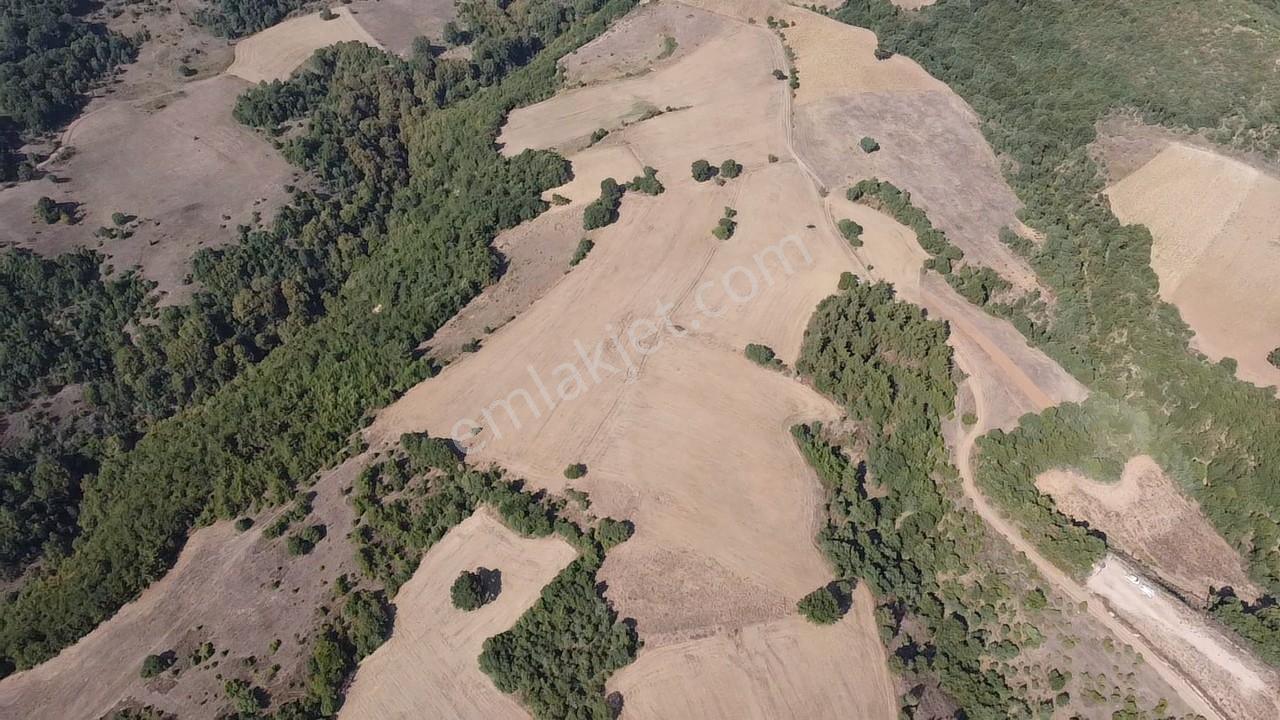 Karataş'tan 54.000 M2 Yolu Olan Kaçırılmayacak Fırsat Arazi - Görsel 16