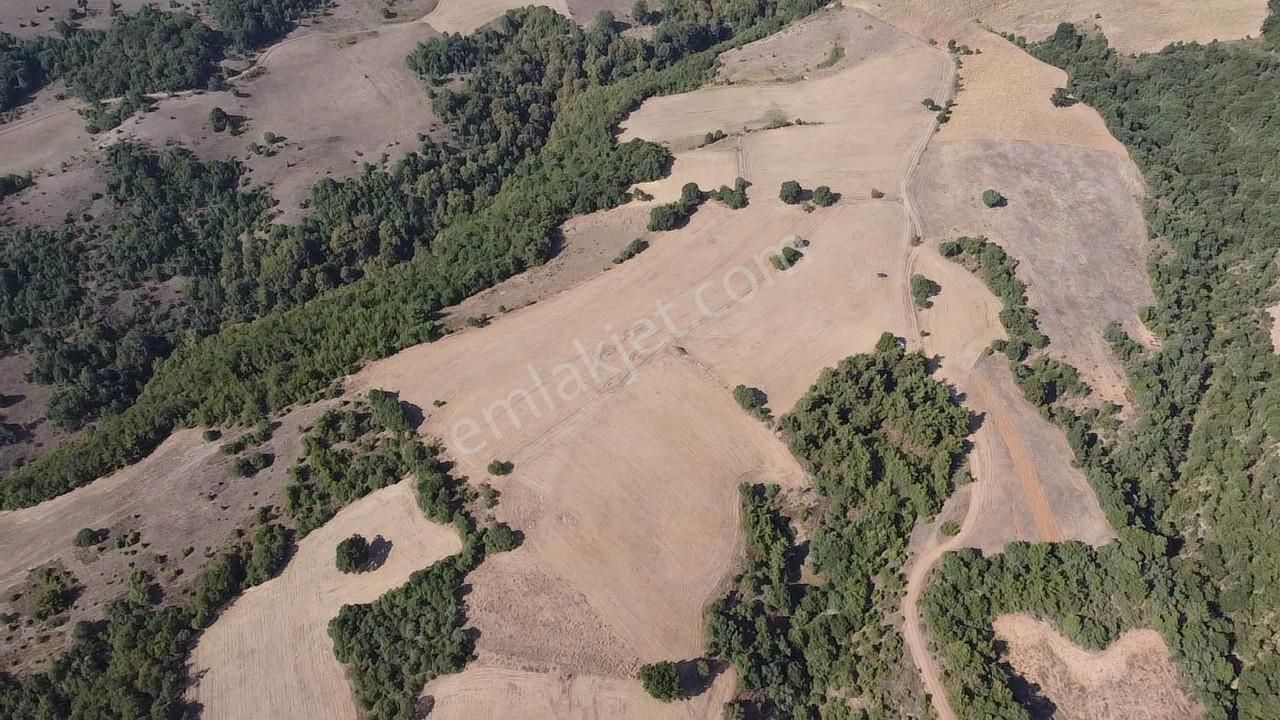 Karataş'tan 54.000 M2 Yolu Olan Kaçırılmayacak Fırsat Arazi - Görsel 24