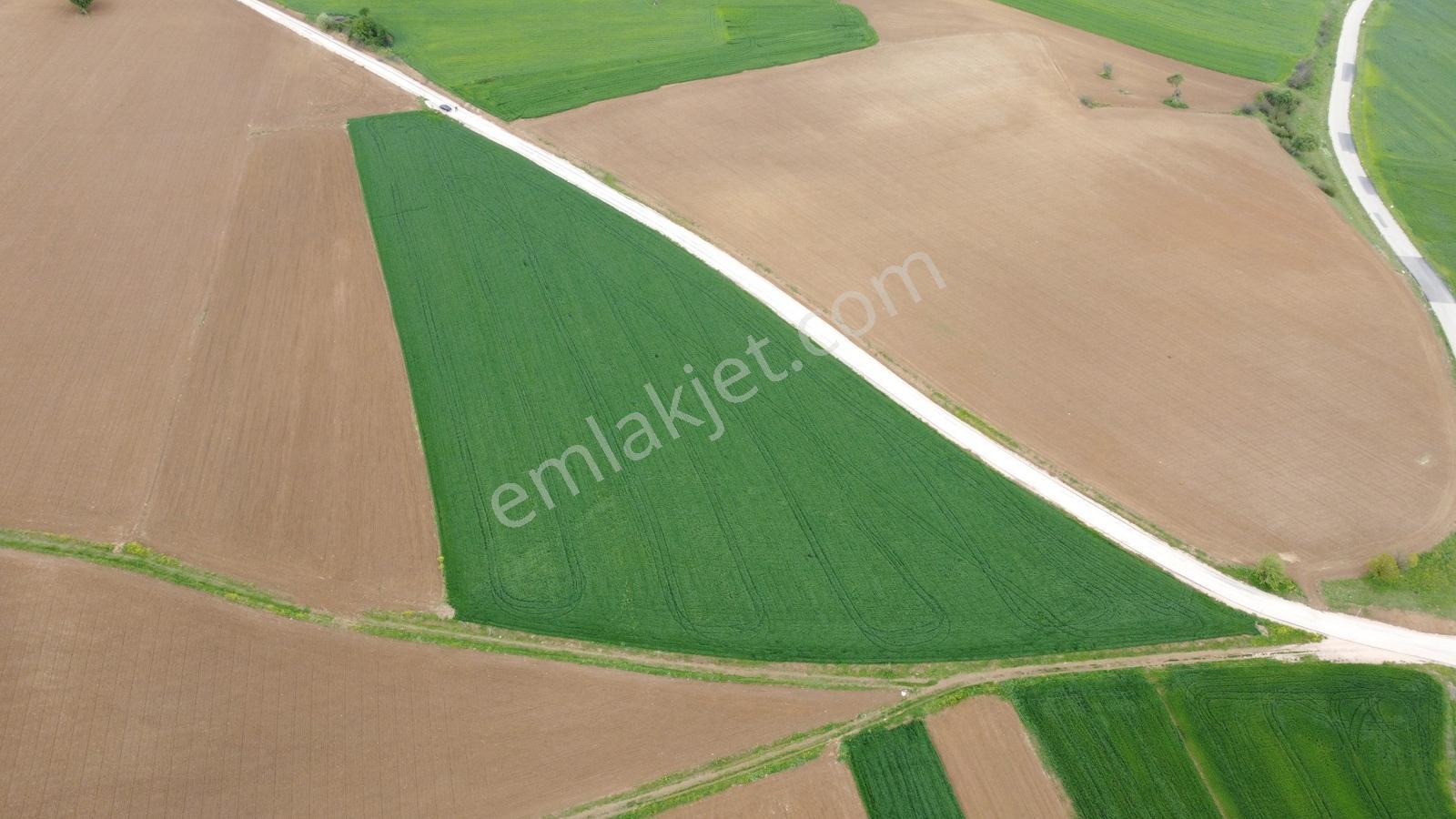 Karataş'tan 18750m2 Asfalt Cephe Harika Konumda Kupon Arazi - Görsel 13